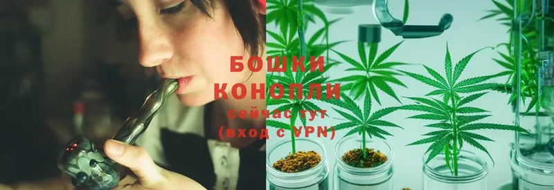 где купить наркотик  Опочка  Бошки марихуана Ganja 